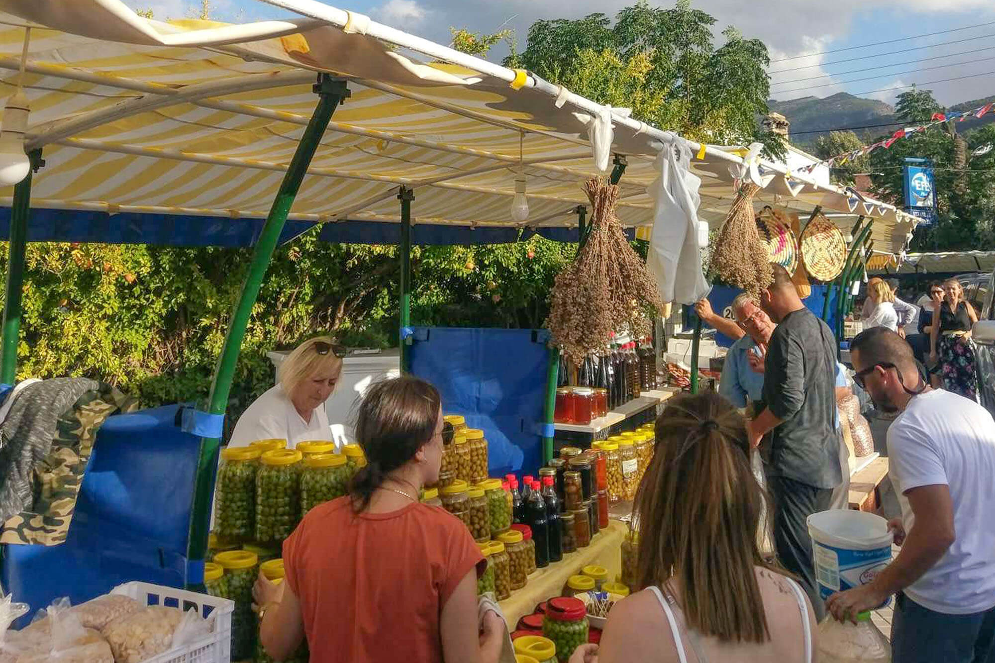 olive festival zeytinlik cyprus