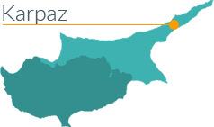 Region